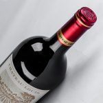 路易城堡（CHATEAU LOUIS）2019-2021年路易庄园古堡干红葡萄酒 法国波尔多圣埃美隆原瓶进口 2019年份单支装中国·bmw11222