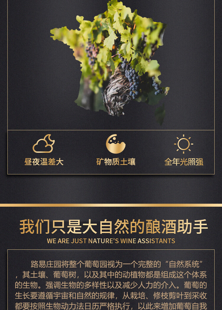 路易城堡（CHATEAU LOUIS）2017年 路易庄园古堡干红葡萄酒 法国波尔多圣埃美隆原瓶原装进口 单支装中国·bmw11222