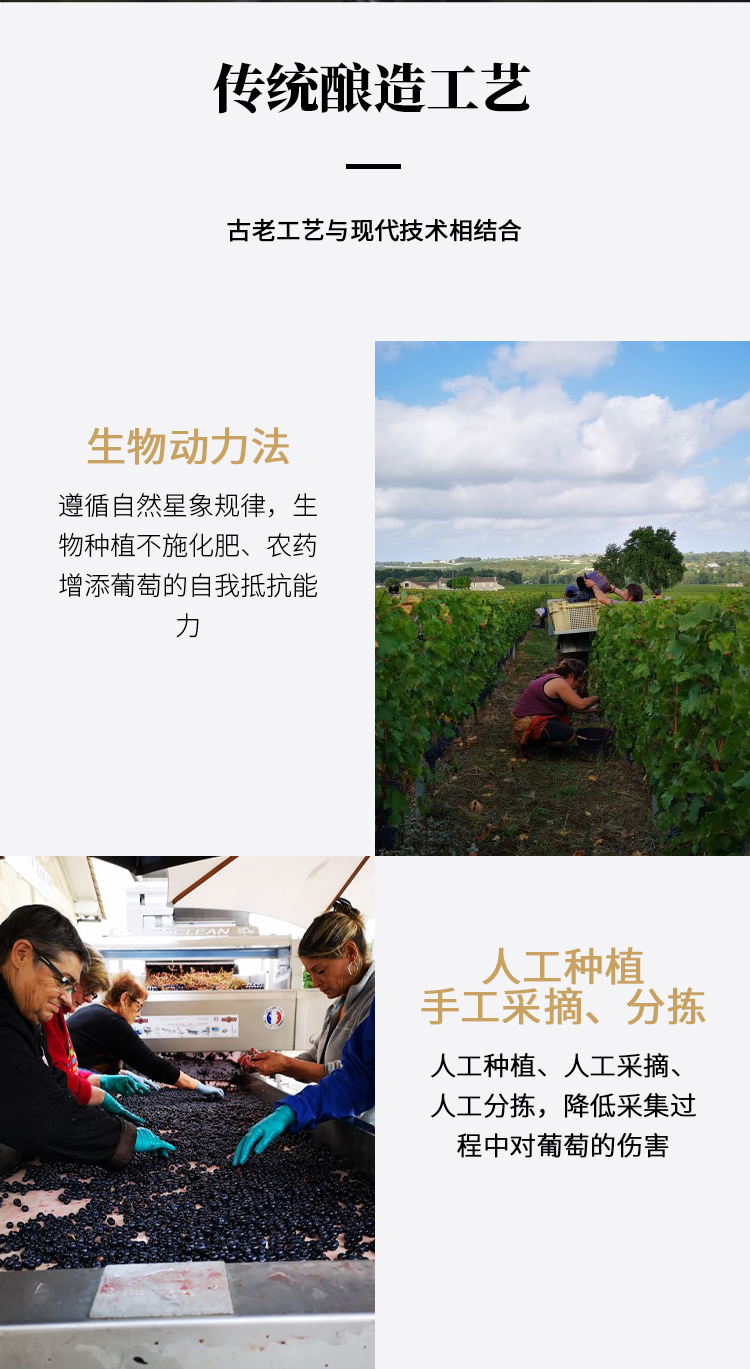 路易城堡（CHATEAU LOUIS）2015年 1.5L路易庄园珍藏干红葡萄酒 法国波尔多AOC特级 原瓶进口 单支装中国·bmw11222