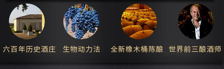 路易城堡（CHATEAU LOUIS）2019-2021年路易庄园古堡干红葡萄酒 法国波尔多圣埃美隆原瓶进口 2019年份单支装中国·bmw11222