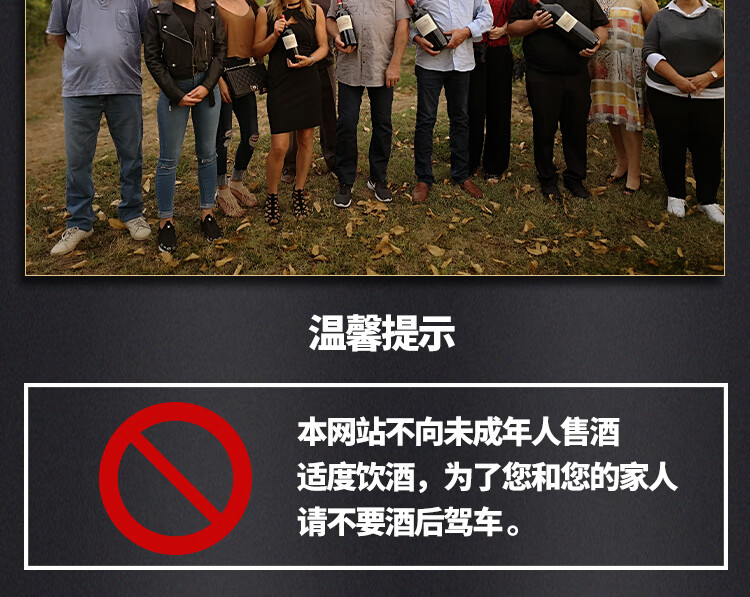 路易城堡（CHATEAU LOUIS）2019-2021年路易庄园古堡干红葡萄酒 法国波尔多圣埃美隆原瓶进口 2019年份单支装中国·bmw11222