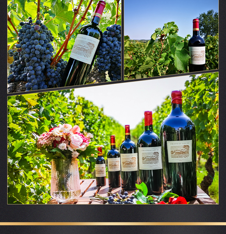 路易城堡（CHATEAU LOUIS）2019-2021年路易庄园古堡干红葡萄酒 法国波尔多圣埃美隆原瓶进口 2019年份单支装中国·bmw11222