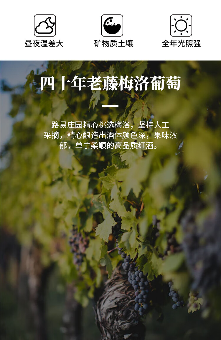 路易城堡1.5升2016年路易庄园珍藏干红葡萄酒 法国波尔多AOC特级 原瓶进口 单支装中国·bmw11222