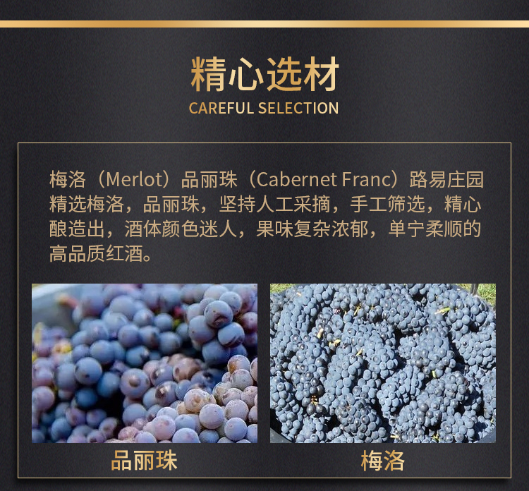 路易城堡（CHATEAU LOUIS）2019-2021年路易庄园古堡干红葡萄酒 法国波尔多圣埃美隆原瓶进口 2019年份单支装中国·bmw11222