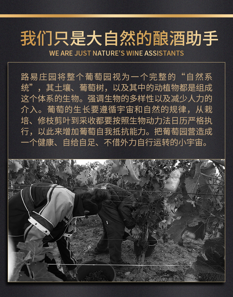 路易城堡（CHATEAU LOUIS）2019-2021年路易庄园古堡干红葡萄酒 法国波尔多圣埃美隆原瓶进口 2019年份单支装中国·bmw11222