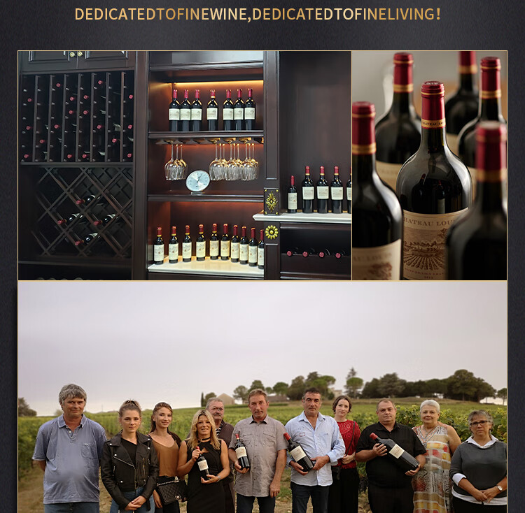 路易城堡（CHATEAU LOUIS）2017年 路易庄园古堡干红葡萄酒 法国波尔多圣埃美隆原瓶原装进口 单支装中国·bmw11222