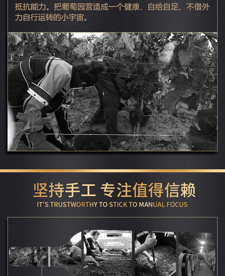 路易城堡（CHATEAU LOUIS）2017年 路易庄园古堡干红葡萄酒 法国波尔多圣埃美隆原瓶原装进口 单支装中国·bmw11222