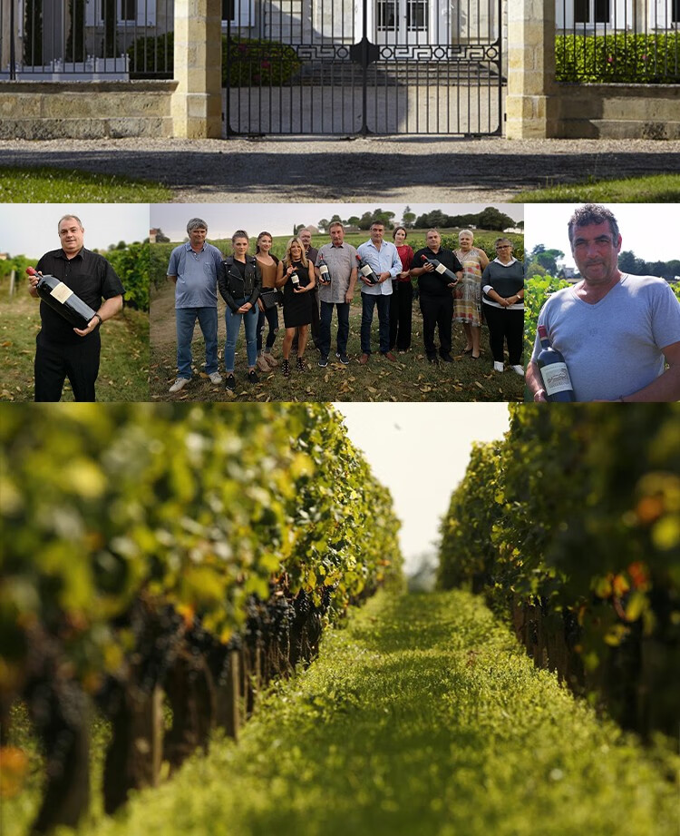 路易城堡（CHATEAU LOUIS） 2019年 路易庄园珍藏干红葡萄酒 法国波尔多AOC特级酒庄原瓶进口 单支装中国·bmw11222