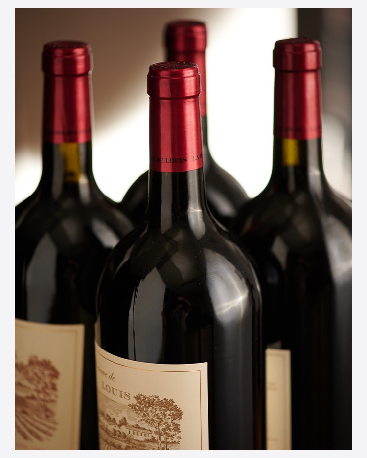 路易城堡（CHATEAU LOUIS） 2019年 路易庄园珍藏干红葡萄酒 法国波尔多AOC特级酒庄原瓶进口 单支装中国·bmw11222