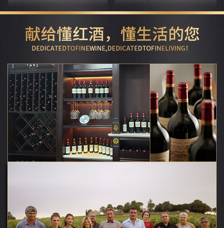 路易城堡（CHATEAU LOUIS）2019-2021年路易庄园古堡干红葡萄酒 法国波尔多圣埃美隆原瓶进口 2019年份单支装中国·bmw11222