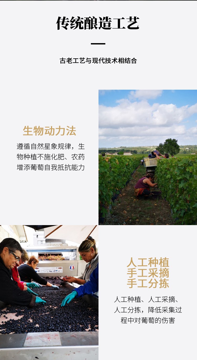 路易城堡（CHATEAU LOUIS） 2019年 路易庄园珍藏干红葡萄酒 法国波尔多AOC特级酒庄原瓶进口 单支装中国·bmw11222
